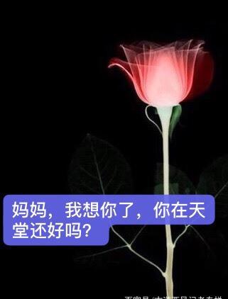 代天下所有失去妈妈的孩子饱含热泪问一声,妈妈,你在天堂还好吗?