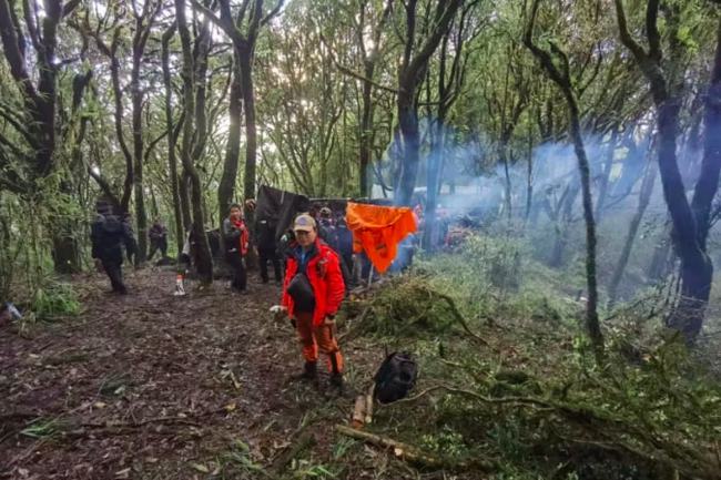 不是雷击搜救员哀牢山遇难4人面带微笑为何有汽油还失温