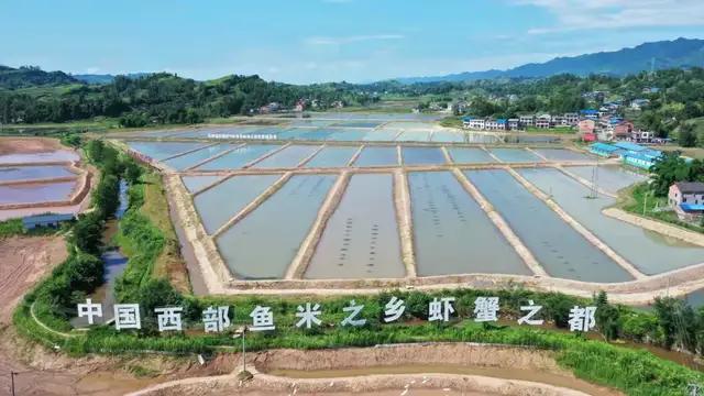 生长 加上气候和生态环境都良好 因此他迅速决定到开江发展水产养殖