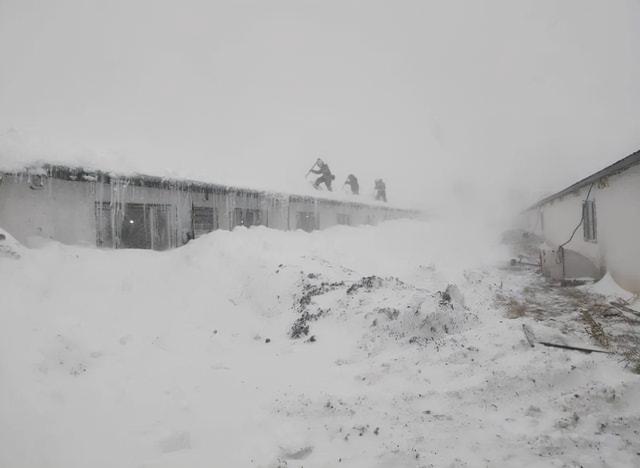 黑龙江特大暴雪?东北或再遭强降雪,雨雪大风降温将""