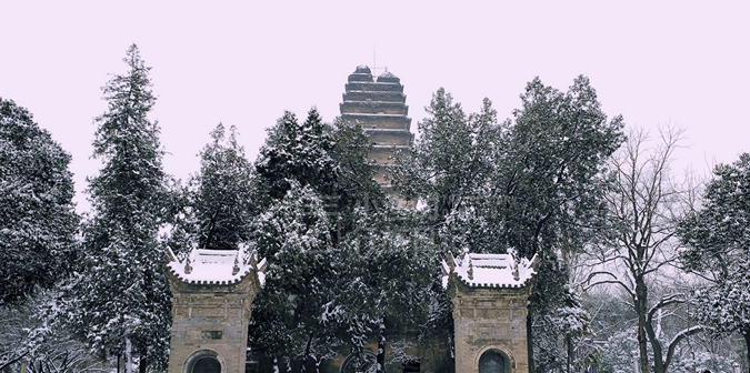 随便一拍都是绝美风景_小雁塔_大兴善寺_街区