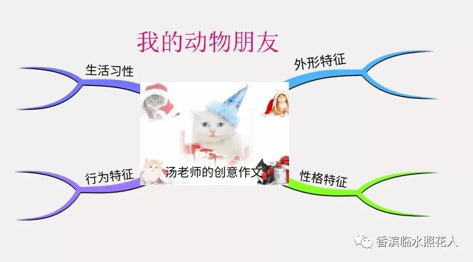 原创【思维导图"画"作文—我的动物朋友】有趣的小鱼(九)