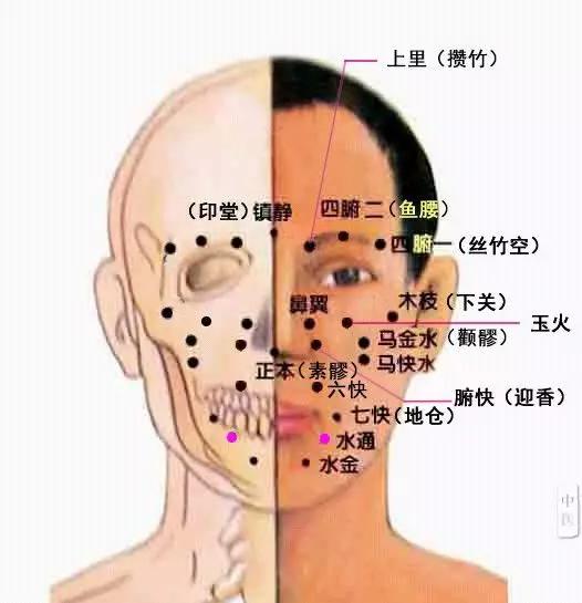 三叉穴和董氏奇穴中神耳穴,水金水通,通肾穴一样,具有补穴的功能,不