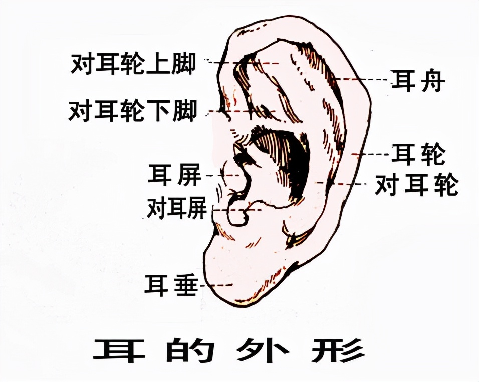 单侧小耳畸形需要做听力重建吗