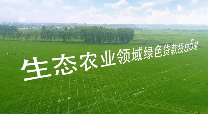 未来,建设银行江苏省分行将加大绿色信贷在三农领域的投放力度,加快