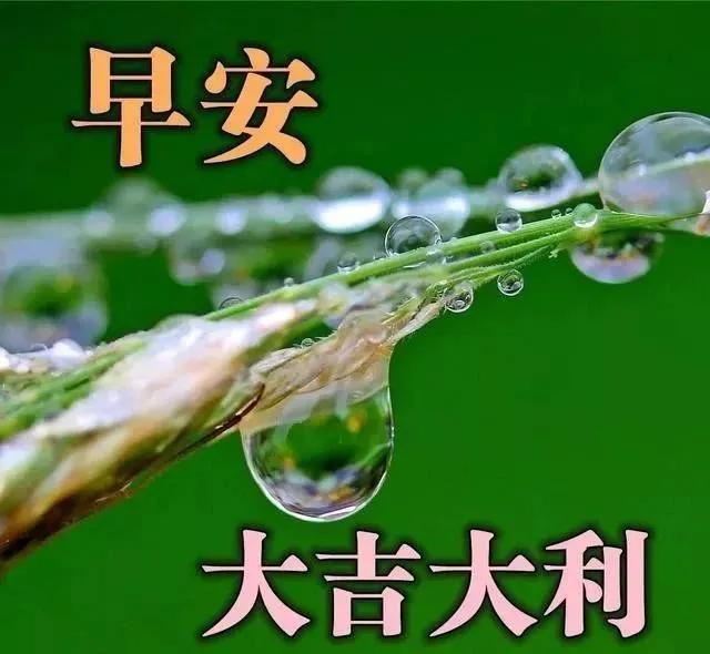 原创12月28日慰问朋友早上好问候语大全最漂亮的早安图片带祝福语