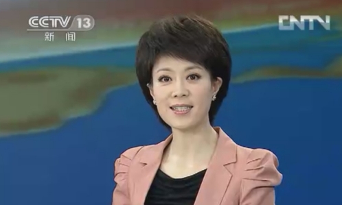 46岁央视女主持李文静,和老公成为丁克一族,直言:不喜欢孩子_生活