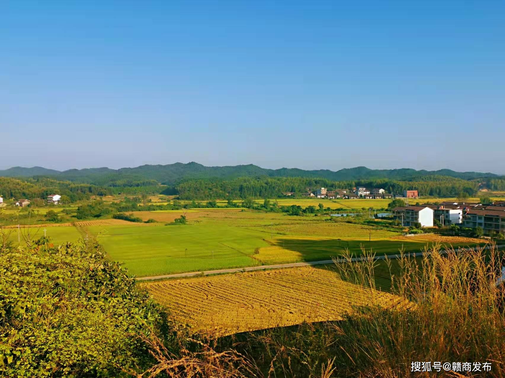 倪晓锋,见习记者熊城报道:1月25日,抚州市崇仁县许坊乡许坊村宗祠里