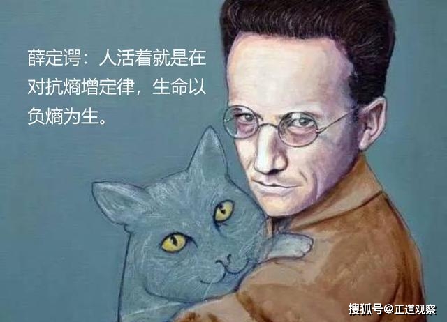原创有人说熵增理论让许多人顿悟有点夸大其词你顿悟了吗