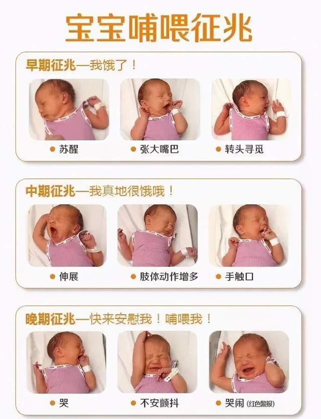 吃母乳的宝宝,吃不到10分钟就睡着,5分钟后又醒来,咋回事儿？