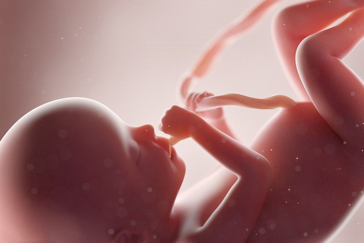 孕期胎儿在黑漆漆的子宫里会无聊吗？不！胎儿的＂日常＂很有趣