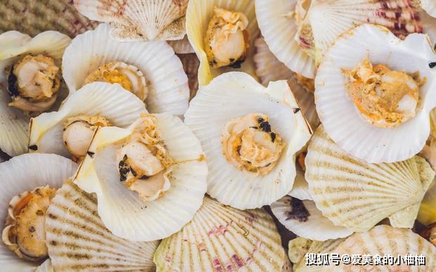 原创做扇贝别再用水煮了海边人教你正确做法肉质鲜嫩不回缩
