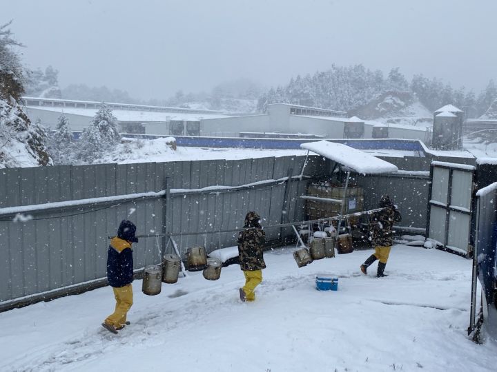 双胞胎猪场—风雪中的温暖午餐_联动_积雪_员工