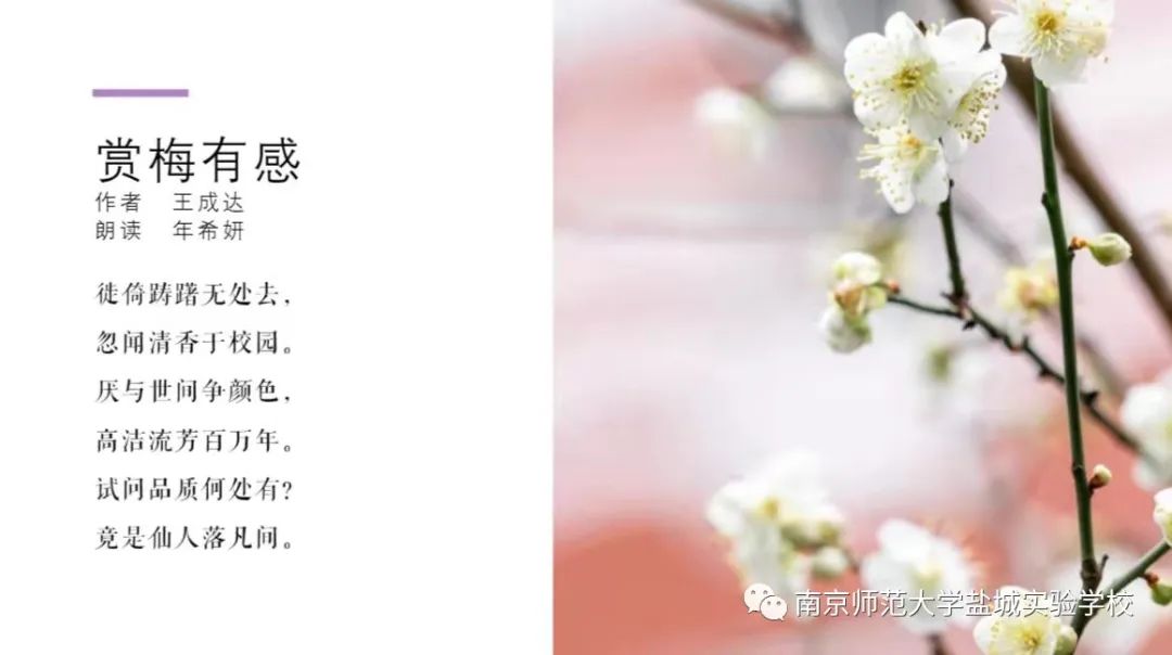 南京师范大学盐城实验学校——融"梅"润品 向美而行_梅花节_策划_节目