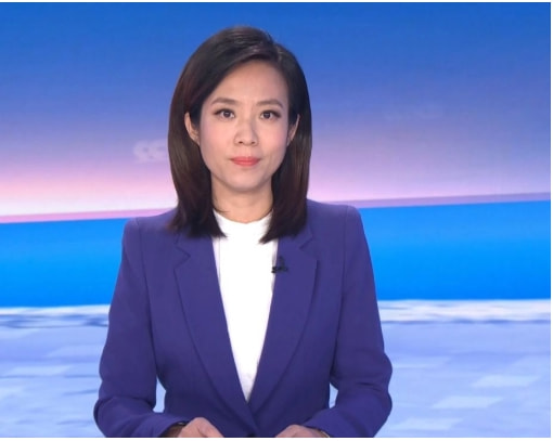 宝晓峰2001年加入央视,最初担任《亚洲报道》的主持人,后来主持过《朝