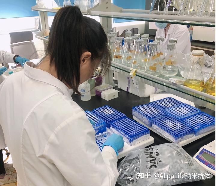 简述纳米抗体的制备及验证方法_免疫_抗原_传统