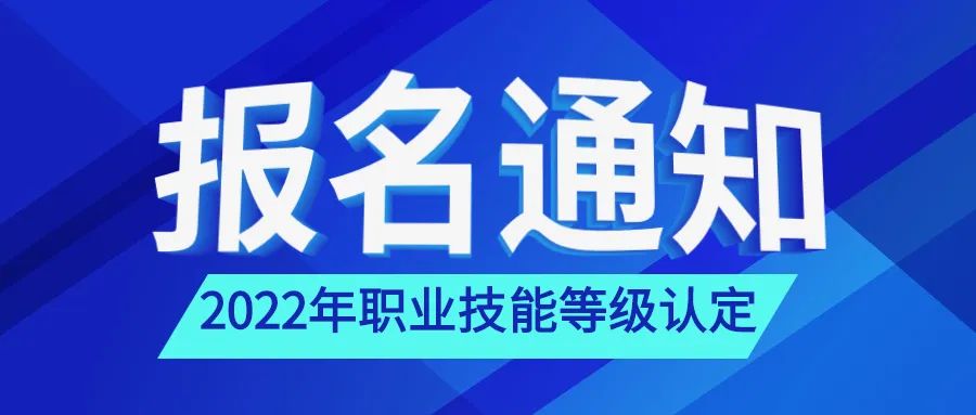 辛苦考的职业技能等级证书在哪里查询?教程来了!_评价