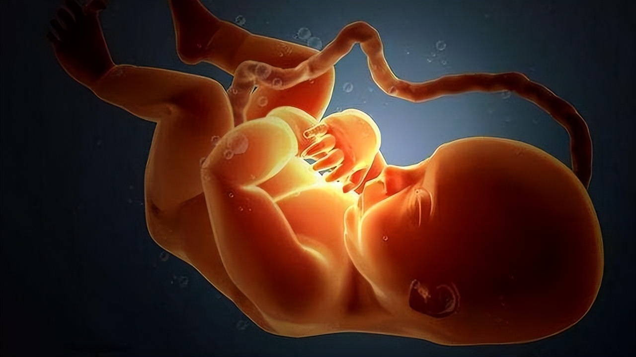 顺产时,为什么是胎儿的＂头＂先出来而不是脚呢？原因挺有意思