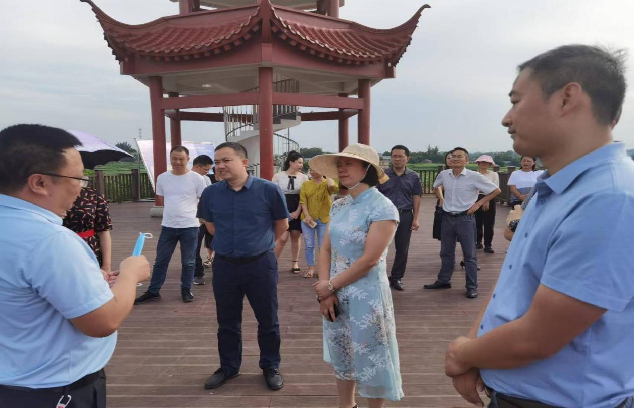 市文化广电旅游局副局长李小蓉,江阳区委常委,宣传部部长叶继东陪同