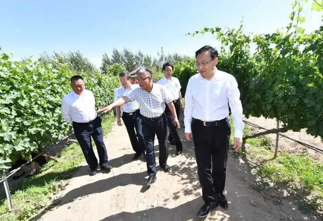 梁言顺调研贺兰山东麓葡萄酒产业高质量发展情况_宁夏_闽宁镇_酒庄