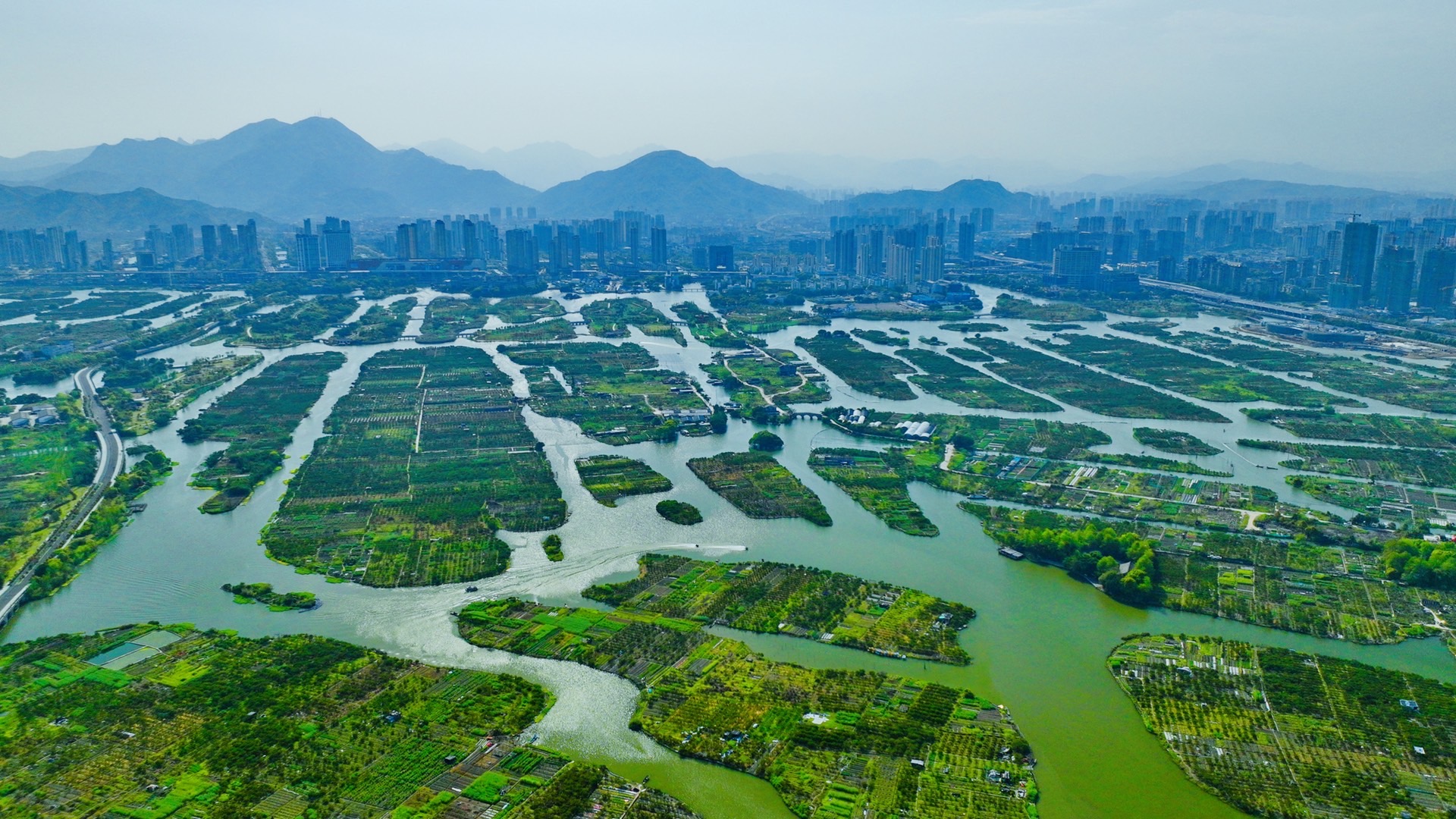 原创最爱浙南威尼斯三垟湿地的瓯柑林罗马长廊一段段美丽遇见