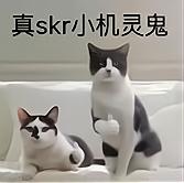 顶流海王的故事:七哥得知自己被算计后,把知道的全部说了出来?