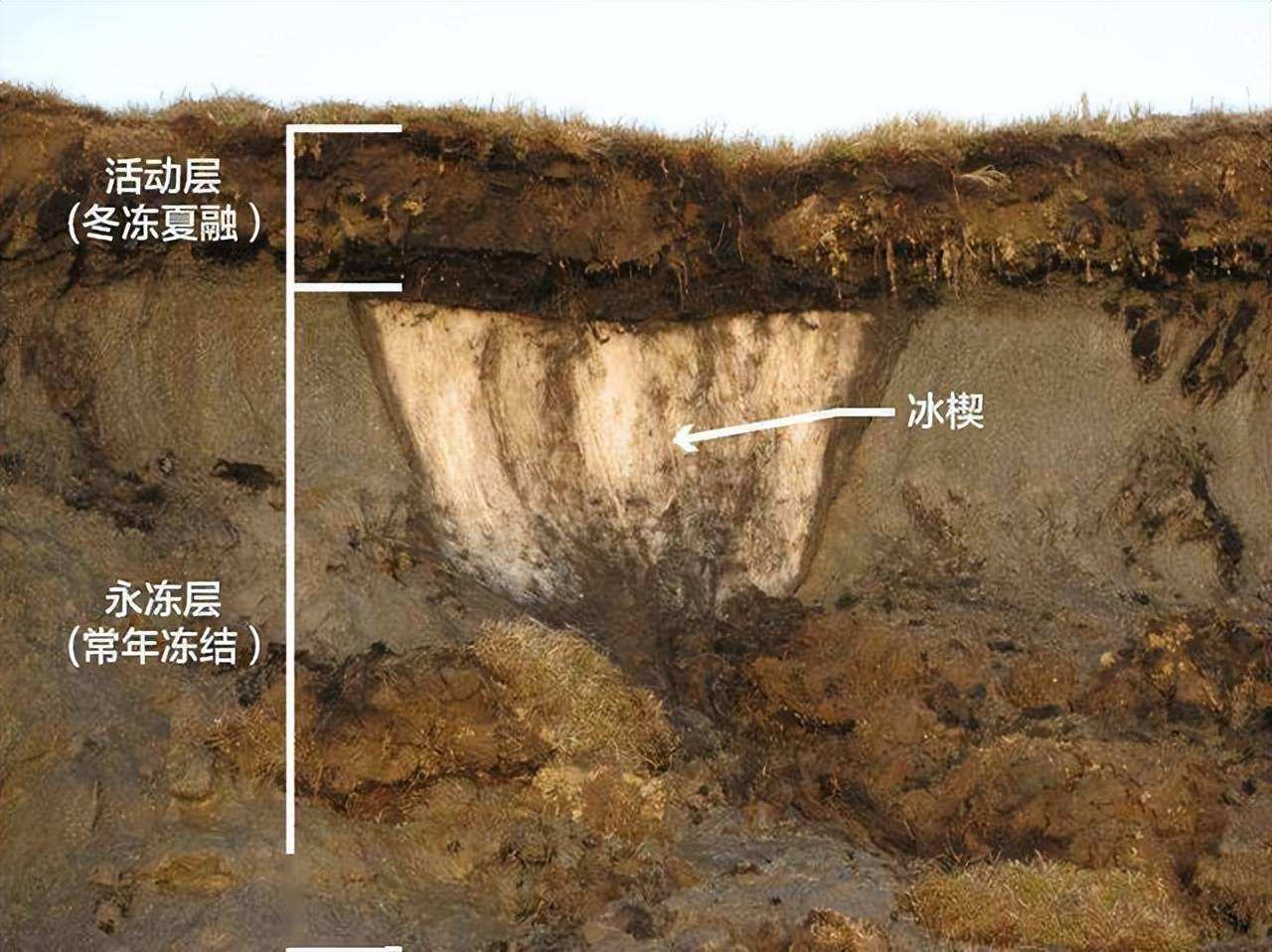 冻土结构南北极冰川融化的同时,永久冻土层也在融化.