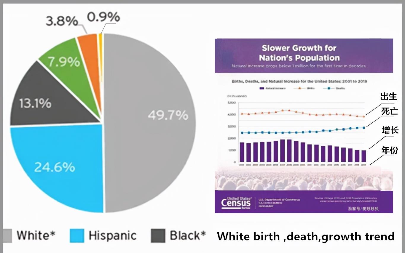 原创二十年后的美国人种排名非裔第一墨西哥裔第二白人屈居第三
