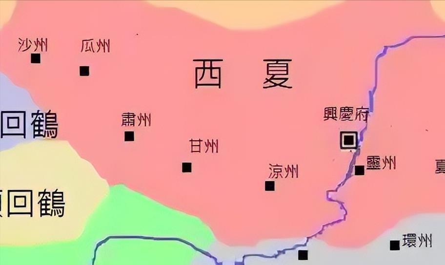 原创西夏被蒙古灭亡后党项族为何从历史上消失900年后找到了答案