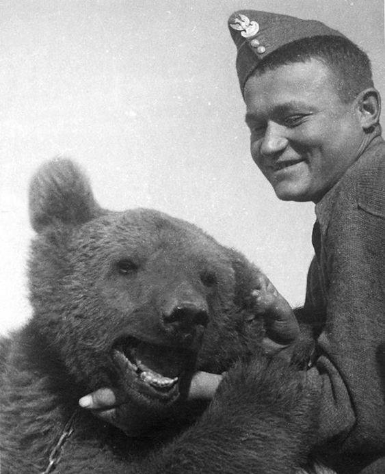 二战波兰军队中的"熊大兵,它能抽烟喝酒,还能抓特务_沃伊泰_运输