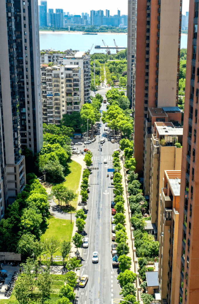 永泰路串联起解放大道,中山大道和沿江大道市民所点赞的正是黄家墩