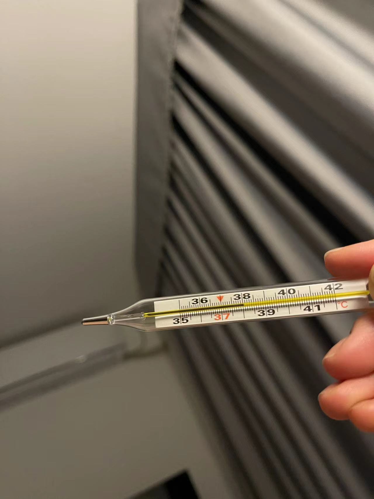 ��û��ȫ��OPPO�ֱ���ʾ