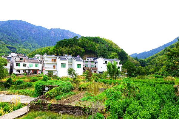 胡村是一个自然村落，村前的公路直通安徽省，地理条件不错，目前还挺淳