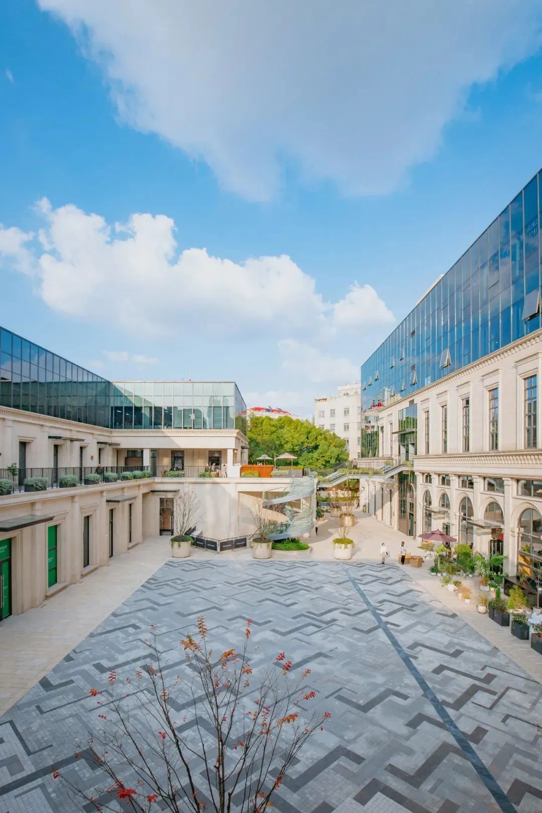 ��ħ��Ħ������� 2022 BEST 50���ذ�������