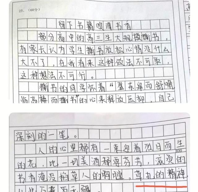 学生写《伪装学渣》读后感，老师：零分提醒  读后感怎么写 第6张