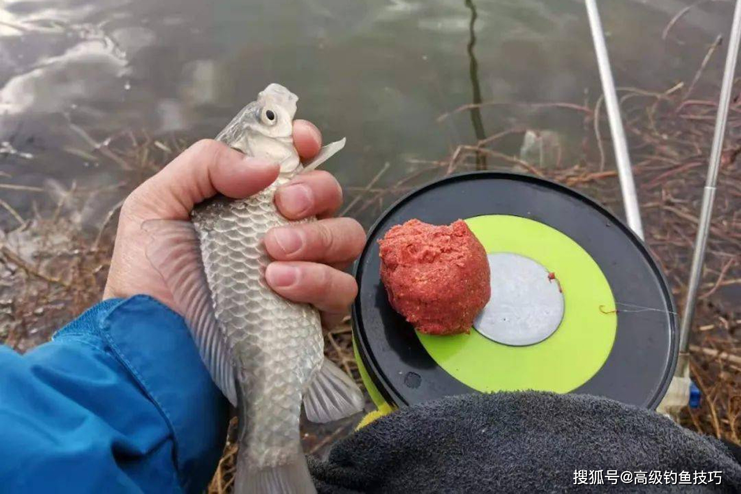 哪种鱼饵冬钓鲫鱼效果更好？冬钓鲫鱼饵的排行榜