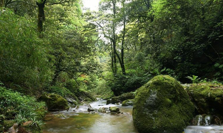 “鬼域路”实在存在？因过分诡异已被封锁，连专家也无法解释