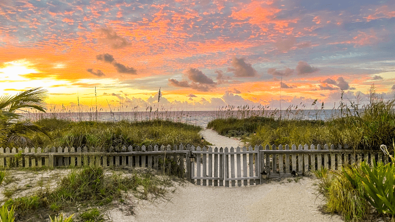 �����o�������ܱ��� Ұ�������������ǻ�