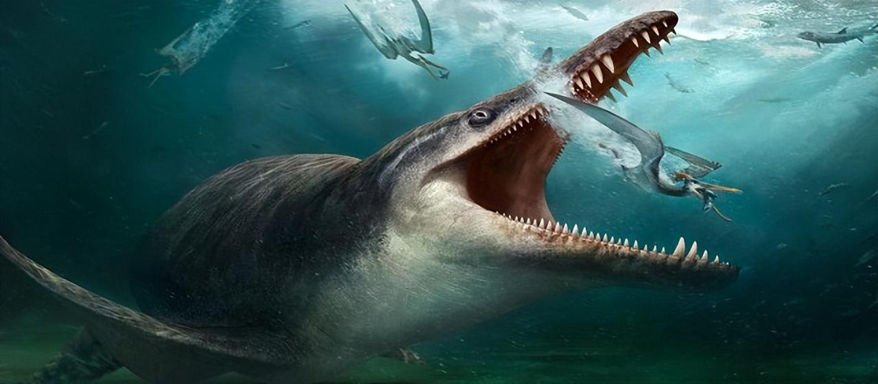 原创
            世界上体型最大的十种动物，你知道几种？最后一种舌头重达两吨插图8