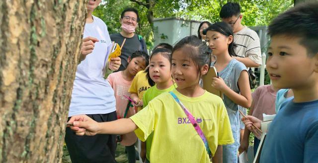 杭州市保俶塔尝试学校学生停止西溪湿地动物大查询拜访