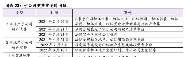 开云 开云体育官网依托国资平台卓朗科技：重整聚焦信息技术产业重回良性发展(图18)