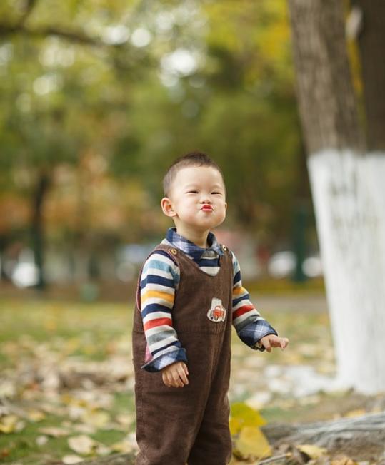 到底要不要让孩子看动画片？宝妈总结了4点，动画片能够那么看