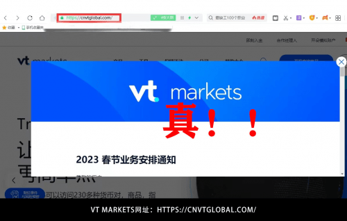 VT Markets外汇交易平台紧急提醒：杜绝“克隆平台”，认准官网别被坑！！
