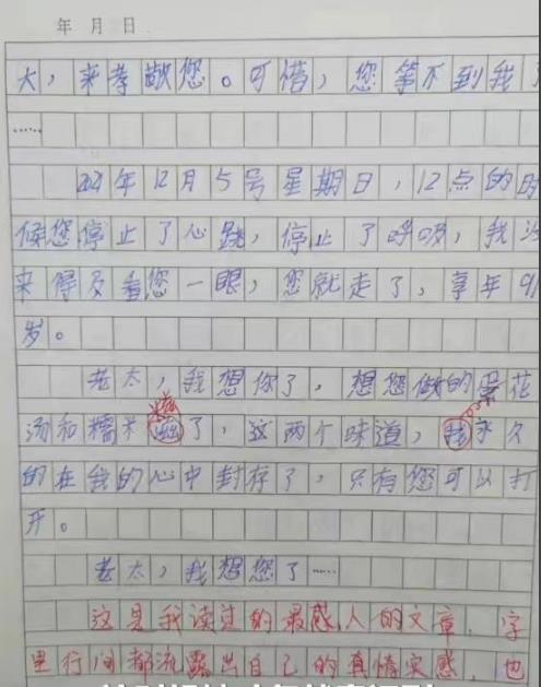 小学生对曾祖母的思念写进作文，思念之情打动师生，心情难以平复  小学作文 第5张