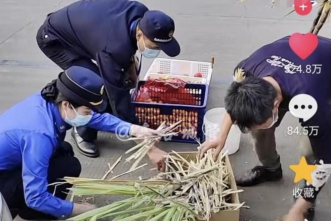 执法样本：宁要武汉城管的“摆拍”，也不要苏州城管的野蛮执法