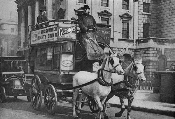 ���޵�Ժ�������ŵɭ����������Ȩ�ı䶯