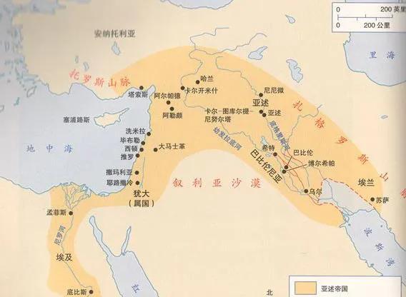 �����۹������������