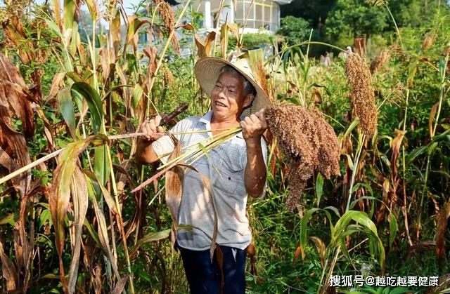 去超市买酒，别听导购忽悠，服膺“2买3不买”，买到100%纯粮佳酿