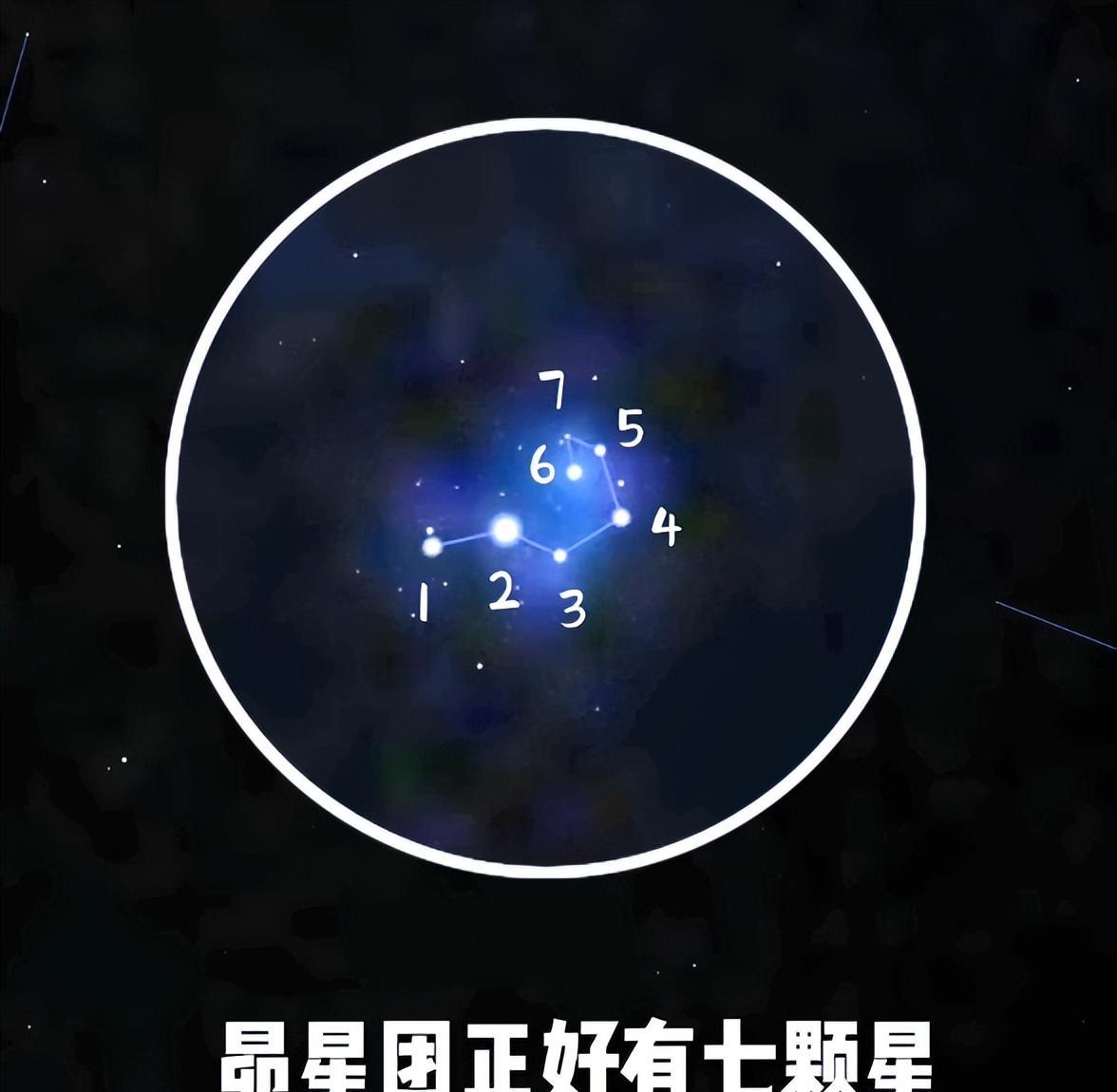 青龙VS白虎的世纪大战！为什么它们是死仇家？「星空帝国系列」8