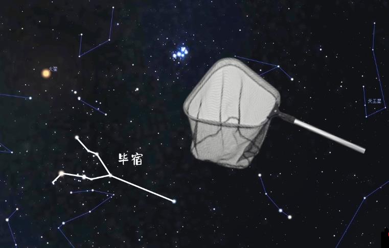 青龙VS白虎的世纪大战！为什么它们是死仇家？「星空帝国系列」8